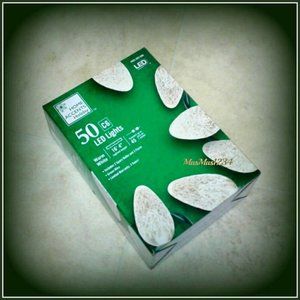 Home Accents Holiday 50 LED C6 String Lights Christmas Warm White Constant ON